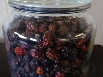 Dried Rosehips